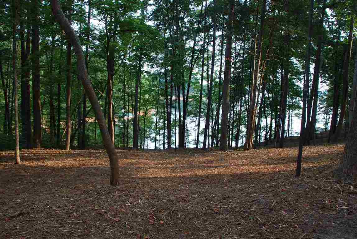 Lot 26 Laurel Ridge Seneca, SC 29678 - Photo 11 of 25 Gallery Image 11