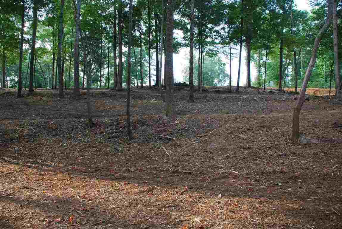 Lot 26 Laurel Ridge Seneca, SC 29678 - Photo 12 of 25 Gallery Image 12