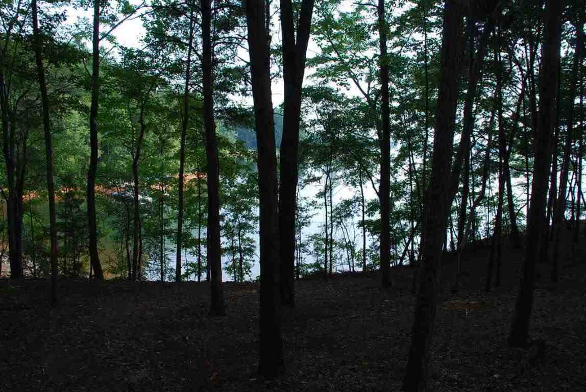 Lot 26 Laurel Ridge Seneca, SC 29678 - Photo 13 of 25 Gallery Image 13