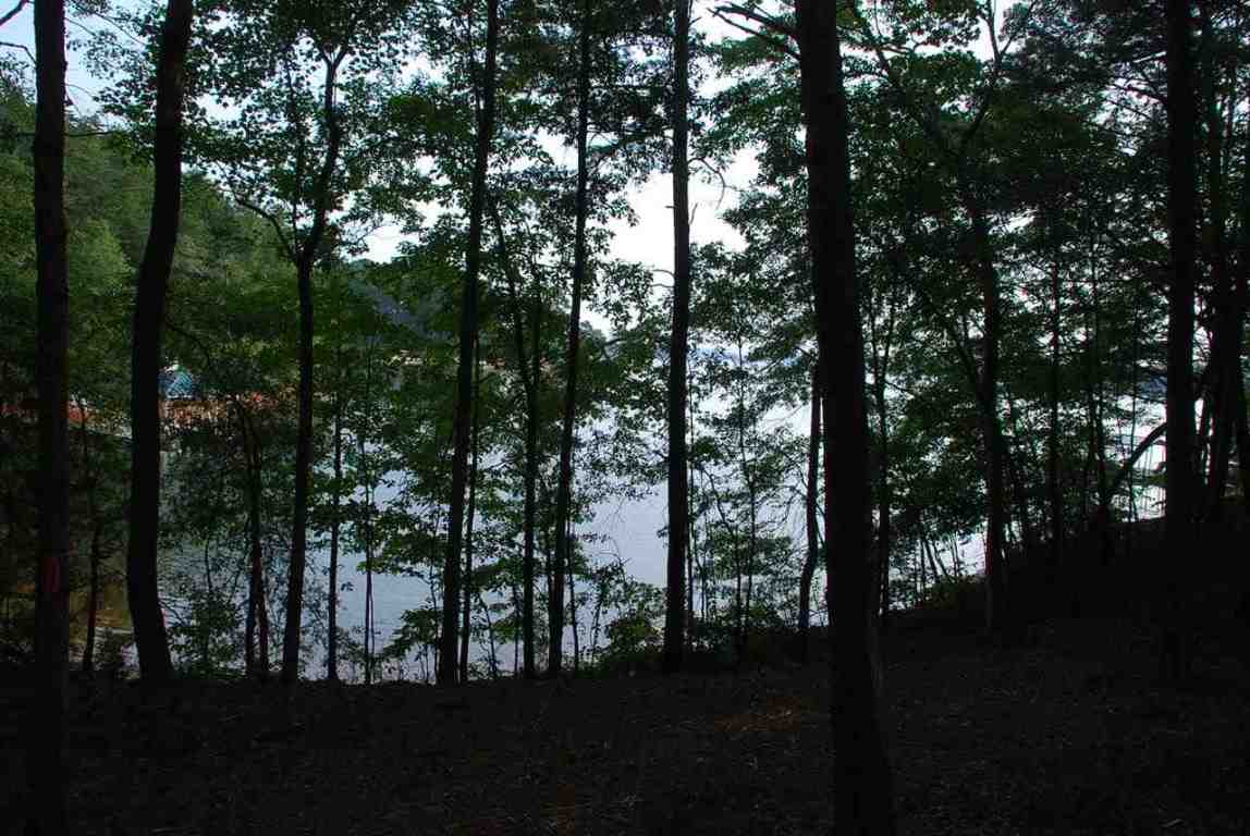 Lot 26 Laurel Ridge Seneca, SC 29678 - Photo 14 of 25 Gallery Image 14