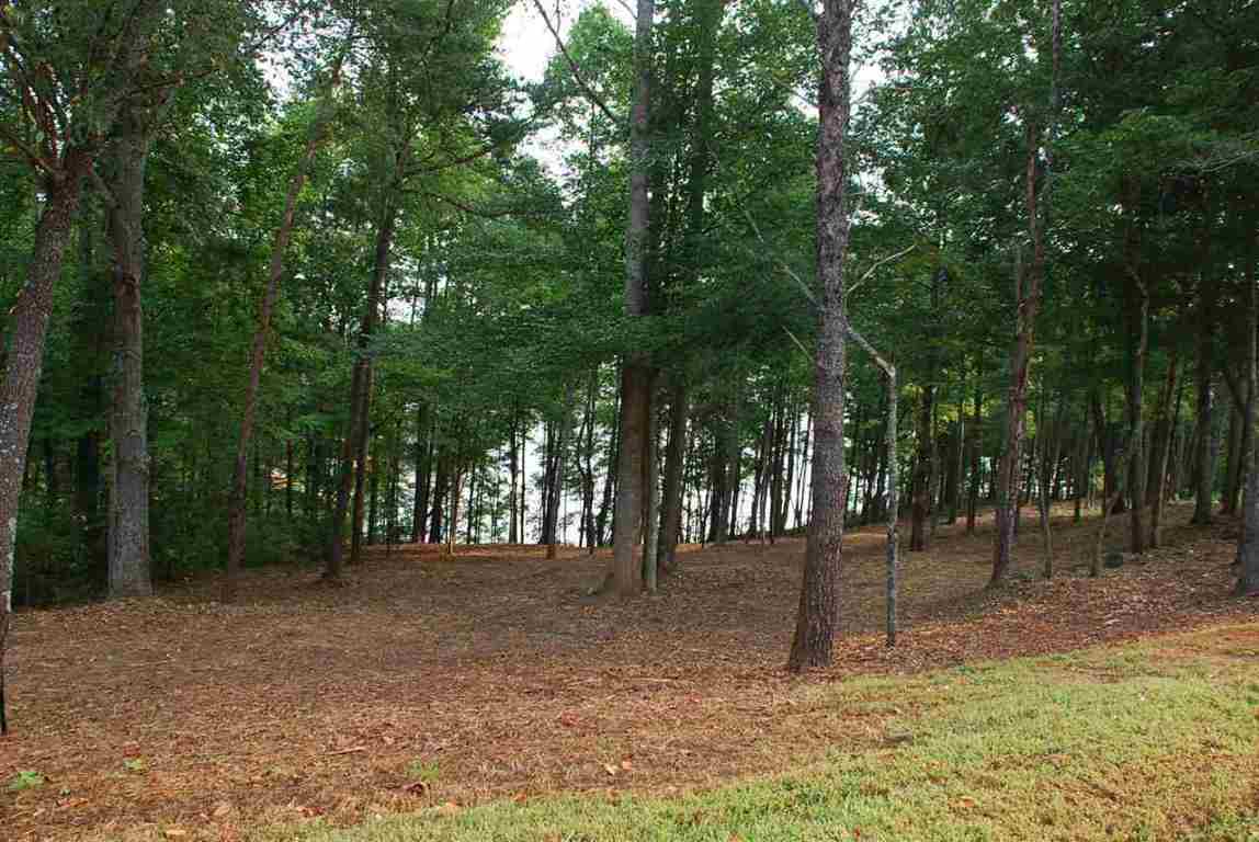Lot 26 Laurel Ridge Seneca, SC 29678 - Photo 4 of 25 Gallery Image 4