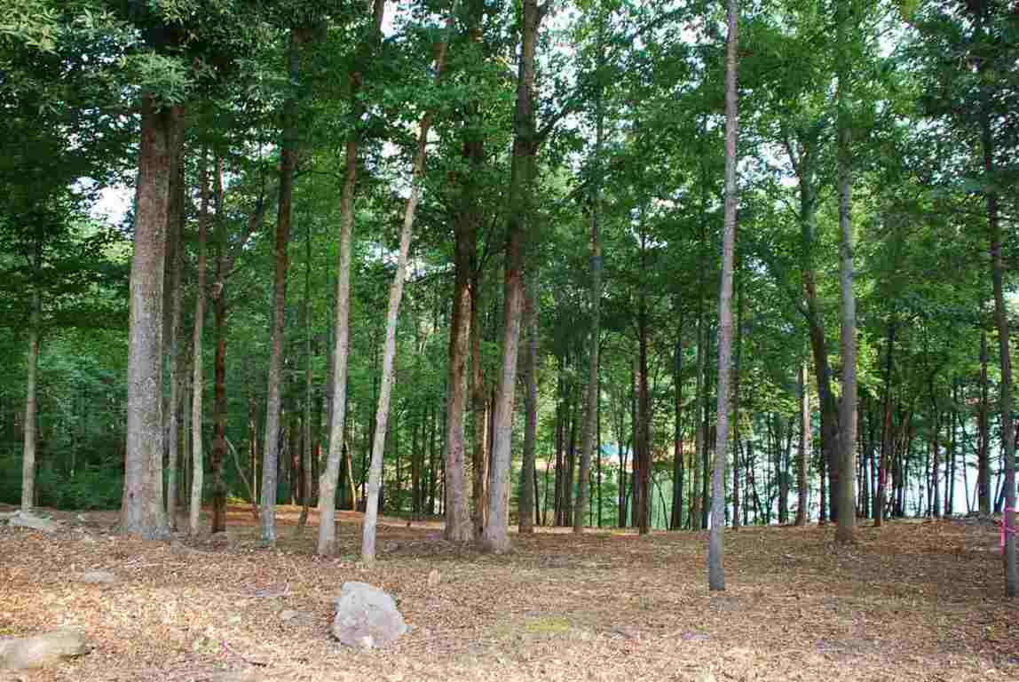 Lot 26 Laurel Ridge Seneca, SC 29678 - Photo 5 of 25 Gallery Image 5