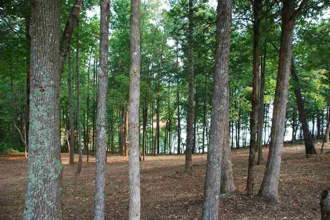 Lot 26 Laurel Ridge Seneca, SC 29678 - Photo 6 of 25 Gallery Image 6