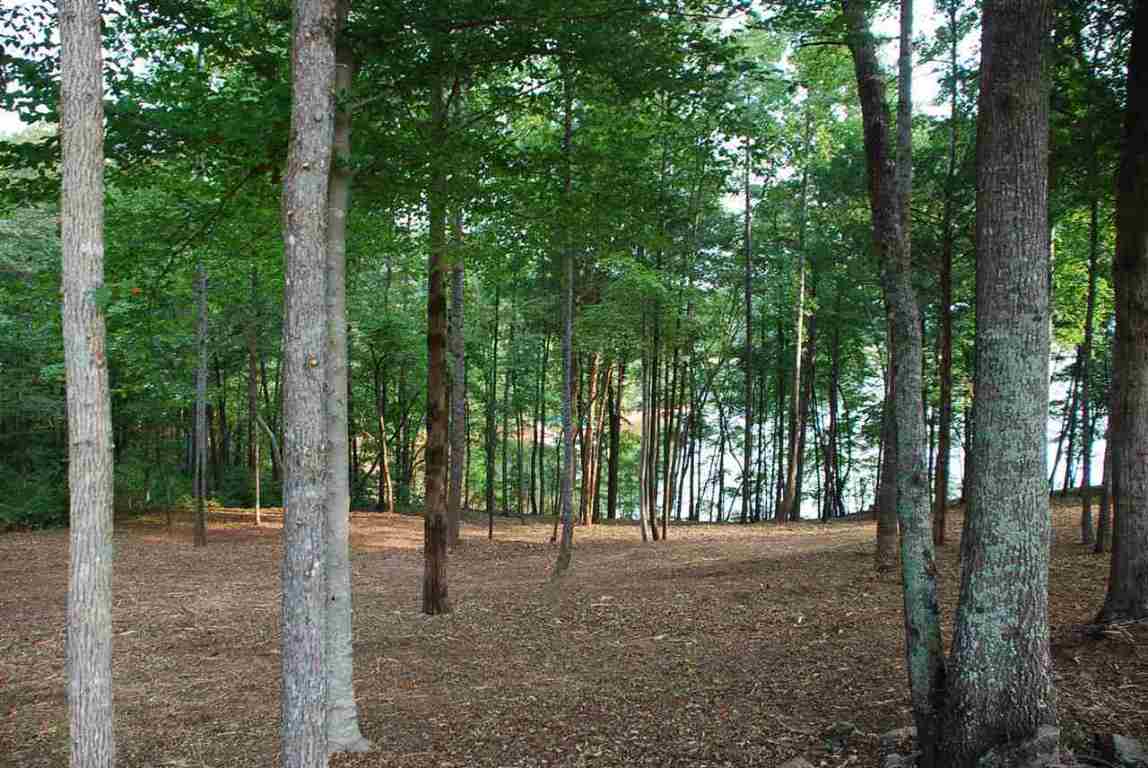 Lot 26 Laurel Ridge Seneca, SC 29678 - Photo 7 of 25 Gallery Image 7