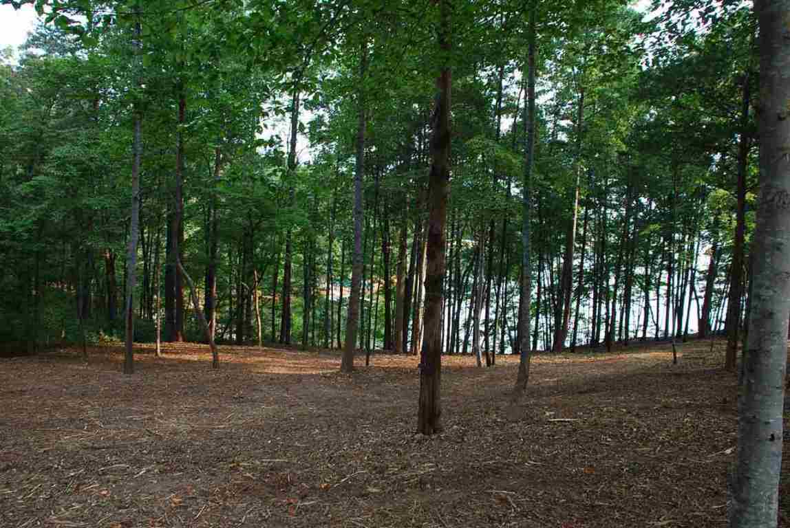 Lot 26 Laurel Ridge Seneca, SC 29678 - Photo 8 of 25 Gallery Image 8