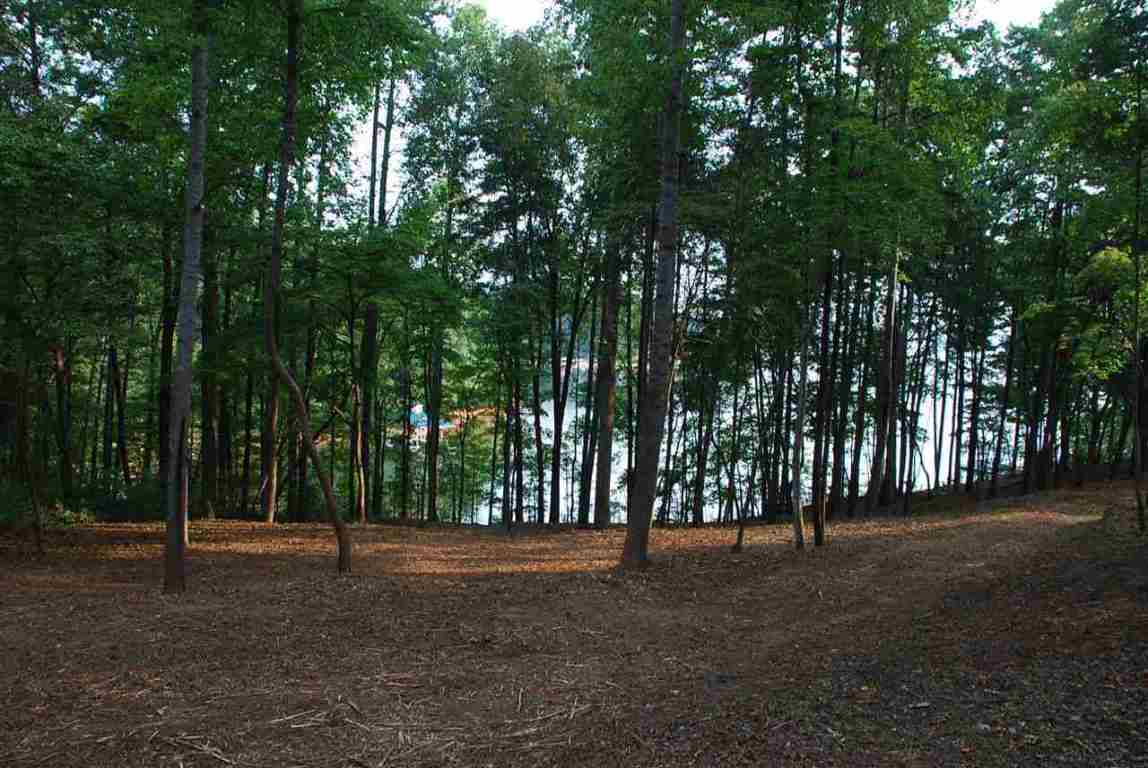 Lot 26 Laurel Ridge Seneca, SC 29678 - Photo 9 of 25 Gallery Image 9