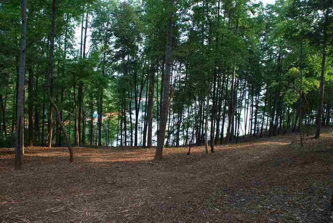 Lot 26 Laurel Ridge Seneca, SC 29678 - Photo 10 of 25 Gallery Image 10