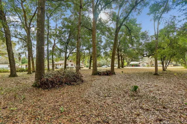 a view of outdoor space with trees