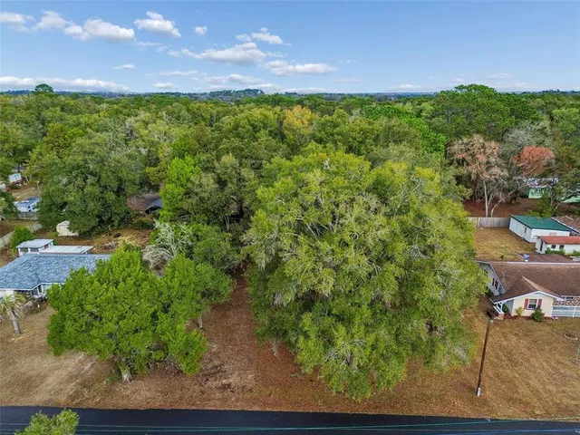 a view of a yard with plants and a bench