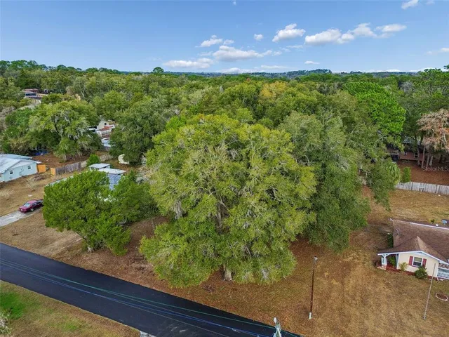 a view of a garden with an outdoor space