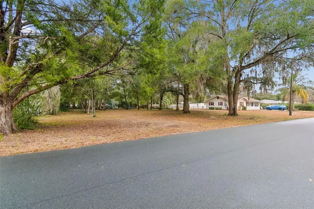 a view of road with large trees