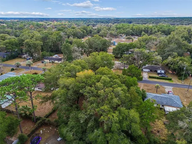 a view of a city with lush green forest