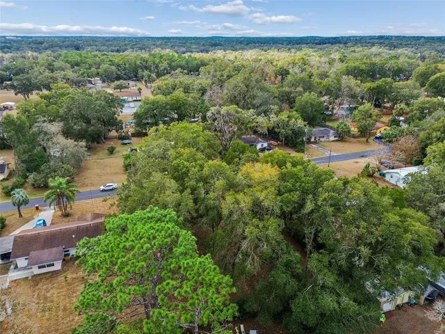 a view of a lush green forest with houses