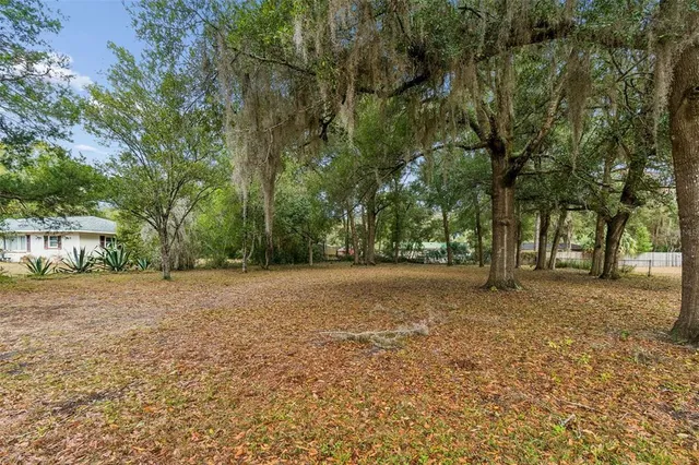 a view of a yard with a tree