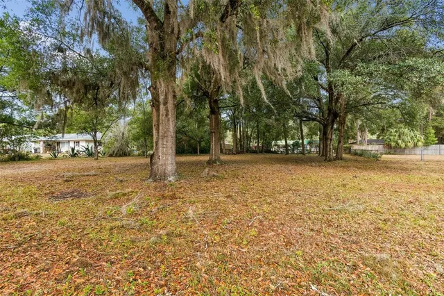a view of outdoor space with deck and tree