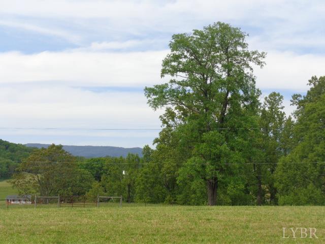 1170 Parrish Road Goodview, VA 24095 - Photo 3 of 7 a view of mountain with outdoor space