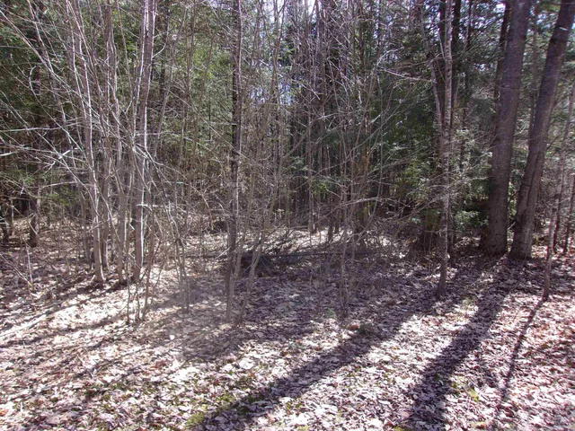 $62,000 | Fenn Way Circle, Unit 33, Bath, NH 03740