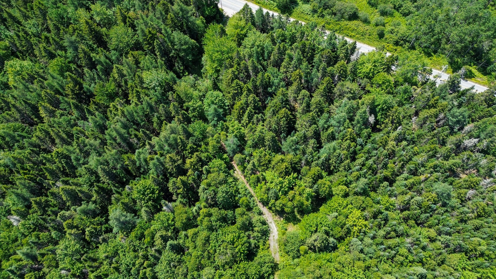 M4-l1 Addison Road Columbia Falls, ME 04623 - Photo 2 of 9 DJI_0854