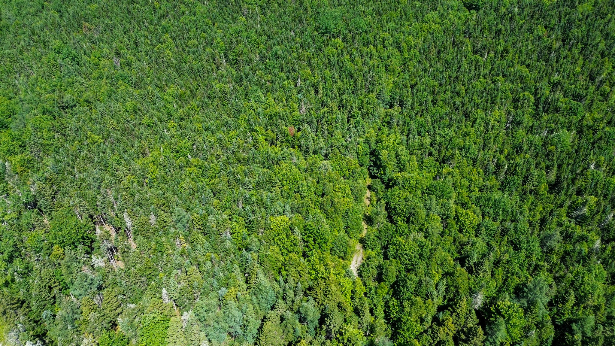 M4-l1 Addison Road Columbia Falls, ME 04623 - Photo 3 of 9 DJI_0855