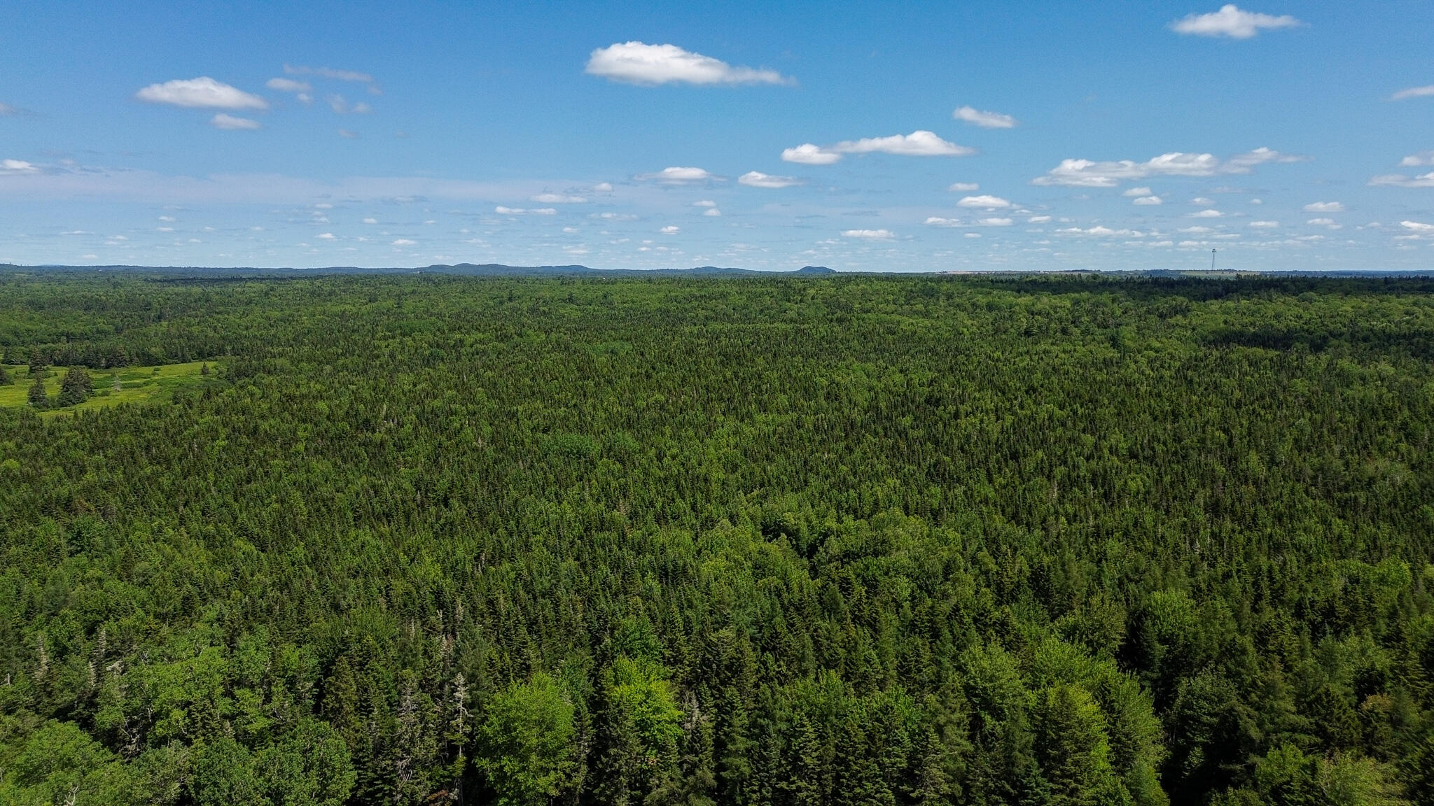 M4-l1 Addison Road Columbia Falls, ME 04623 - Photo 4 of 9 DJI_0836