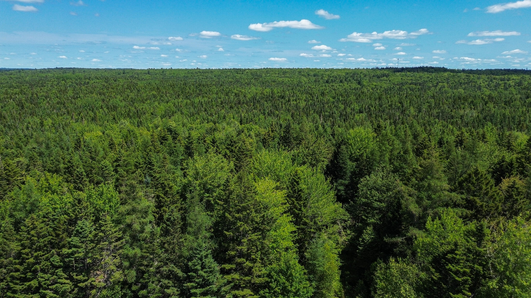 M4-l1 Addison Road Columbia Falls, ME 04623 - Photo 7 of 9 DJI_0842