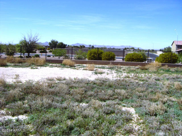 16922 North Palo Rojo Road Maricopa, AZ 85138 - Photo 42 of 42 41 - Backyard 2