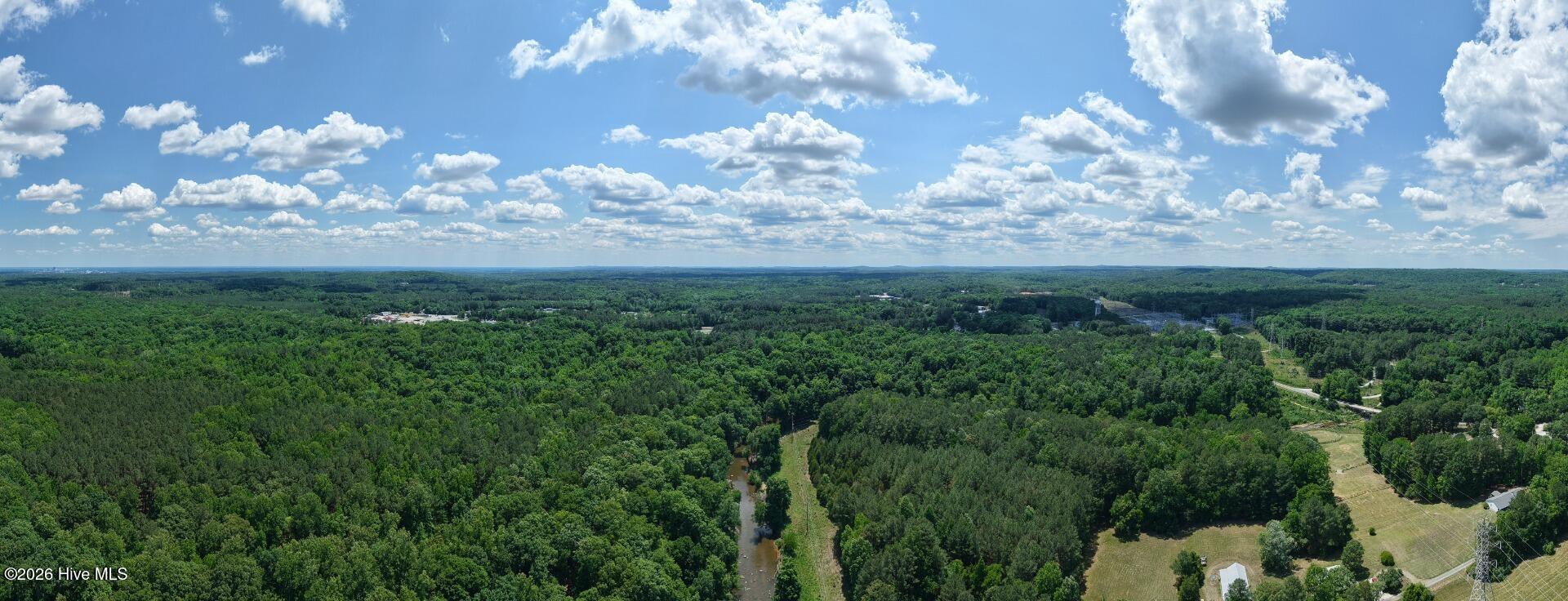 0 Laurel Rdg Road Durham, NC 27705 - Photo 3 of 36