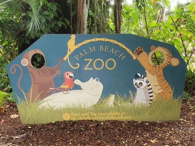 a view of a garden with plants and large trees