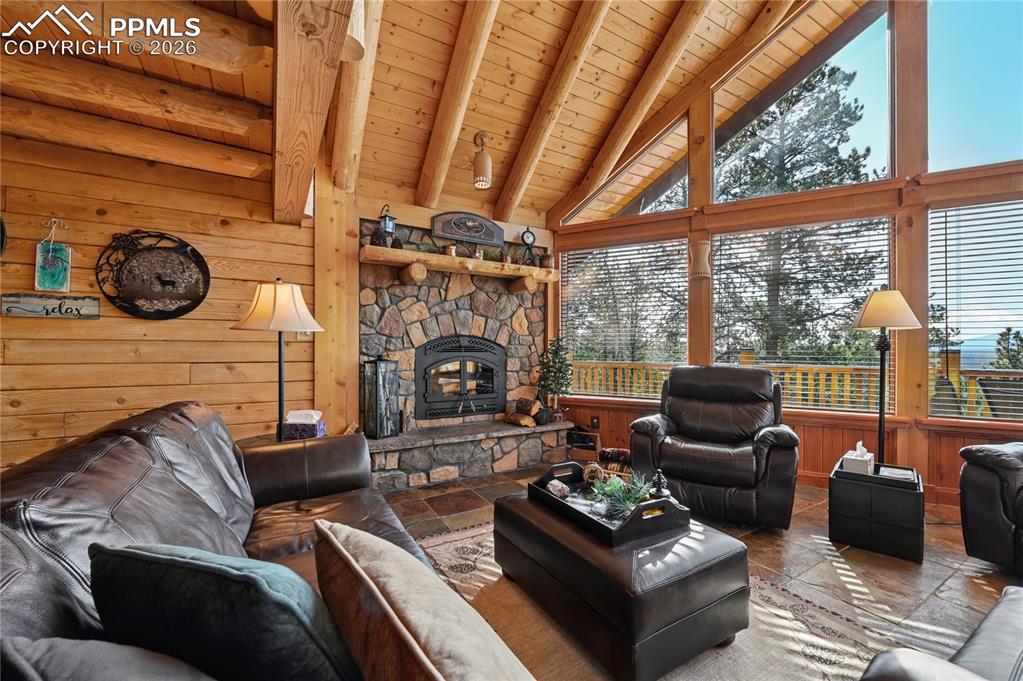 3613 Trail Creek Road Florissant, CO 80816 - Photo 12 of 43 a living room with furniture a fireplace and a floor to ceiling window