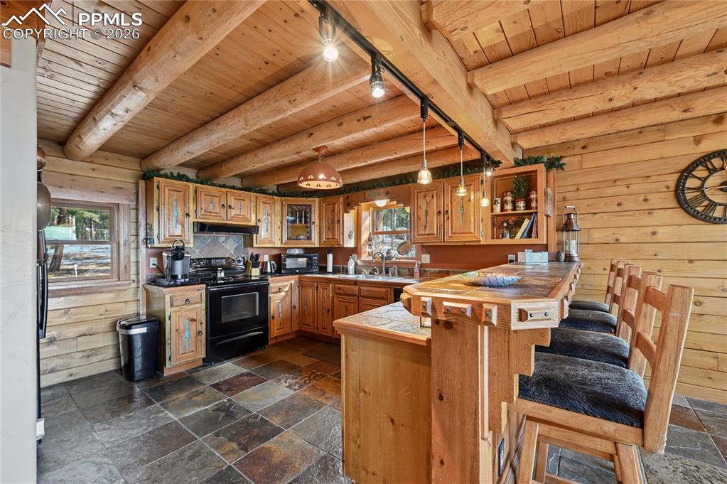 3613 Trail Creek Road Florissant, CO 80816 - Photo 14 of 43 a kitchen with a stove and a refrigerator