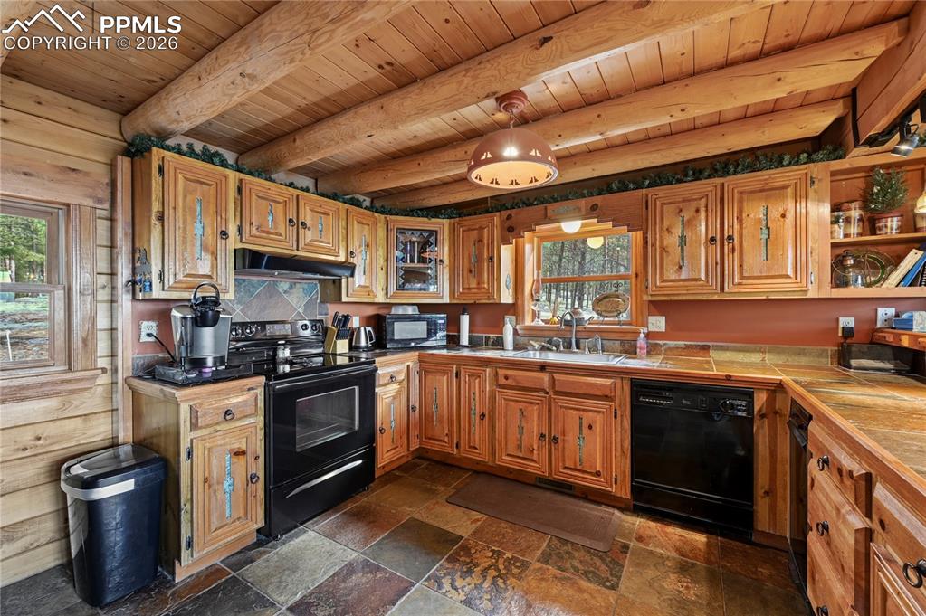 3613 Trail Creek Road Florissant, CO 80816 - Photo 16 of 43 a kitchen with stainless steel appliances granite countertop a stove sink and cabinets
