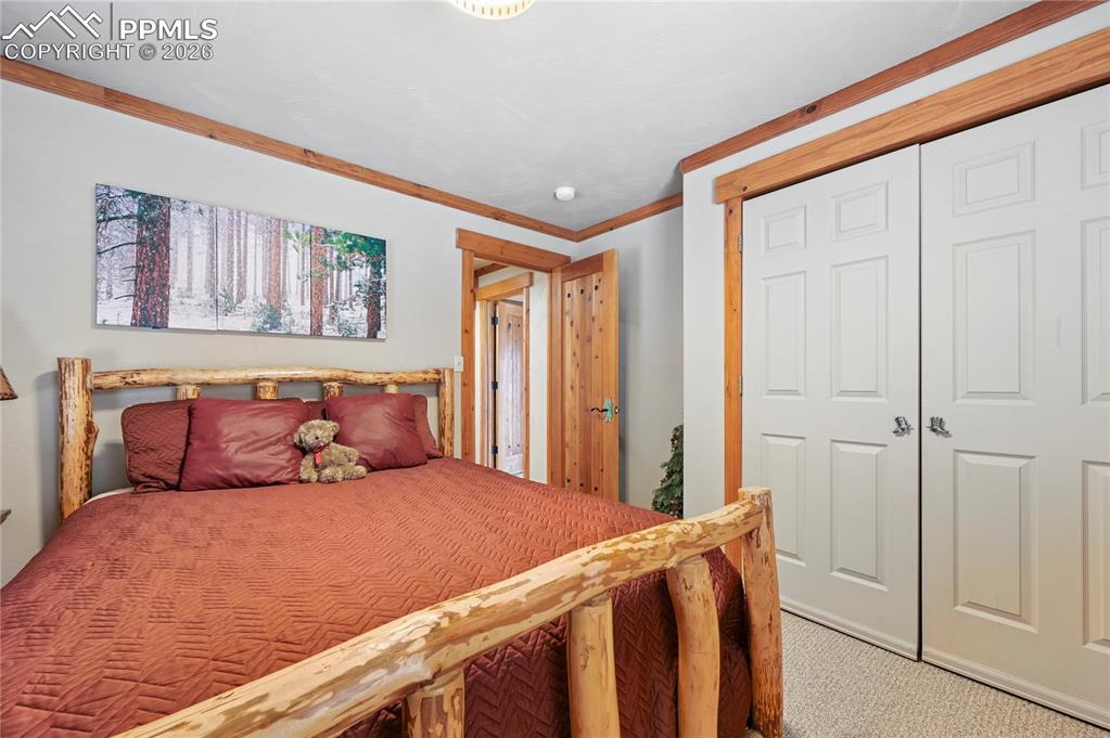 3613 Trail Creek Road Florissant, CO 80816 - Photo 19 of 43 a bedroom with a large bed and a window