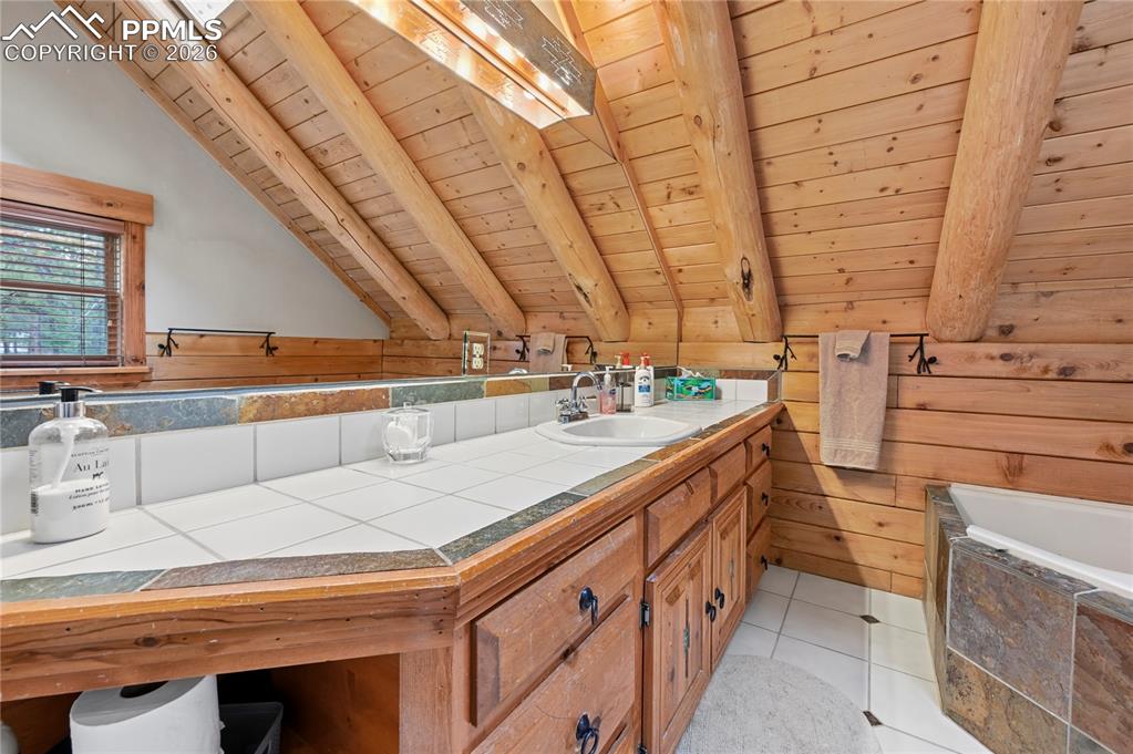 3613 Trail Creek Road Florissant, CO 80816 - Photo 26 of 43 a bathroom with a sink and a large mirror