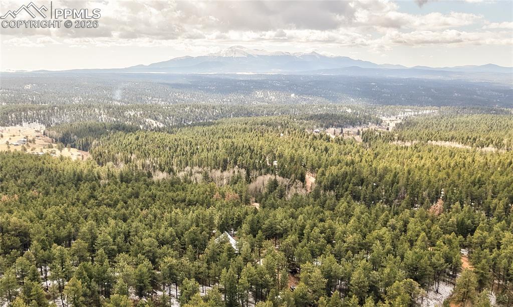 3613 Trail Creek Road Florissant, CO 80816 - Photo 41 of 43 a view of city and mountain