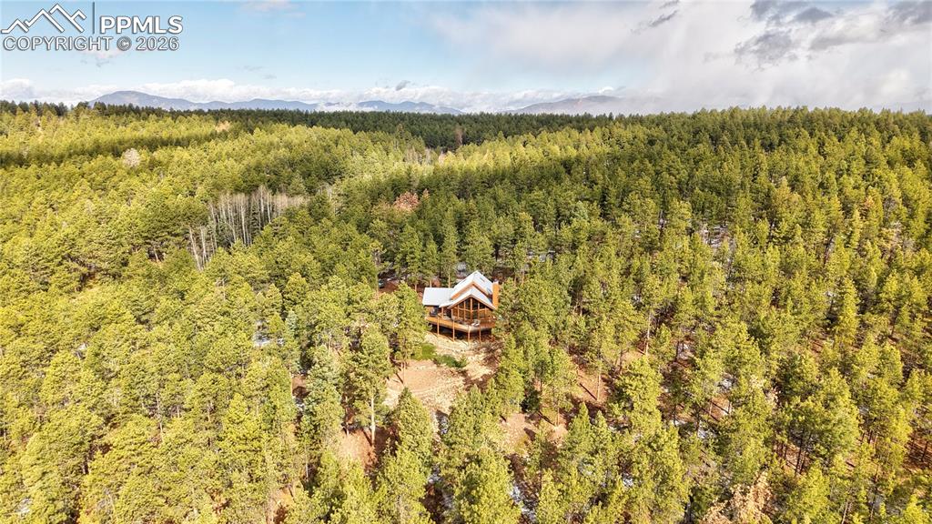 3613 Trail Creek Road Florissant, CO 80816 - Photo 43 of 43 a lake view with swimming pool