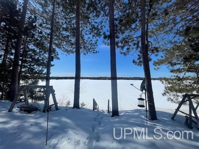 24760 Ruth Lake Road Michigamme, MI 49861 - Photo 5 of 95