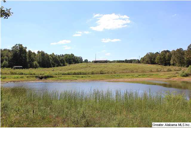13084 Jackson Trace Road, Unit 94 83 AC Lincoln, AL 35096 - Photo 29 of 32