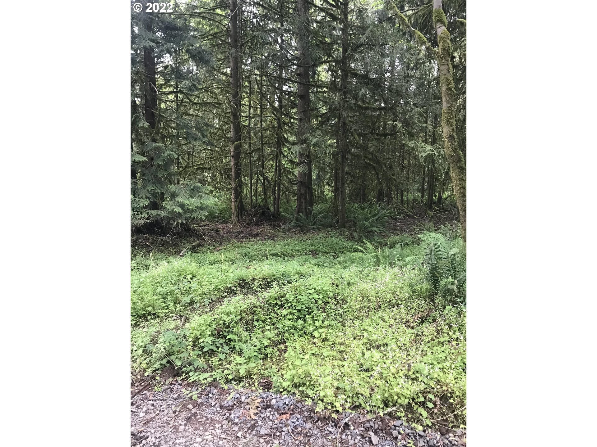 30671 South Oswalt Road Colton, OR 97017 - Photo 1 of 12 Gallery Image 1