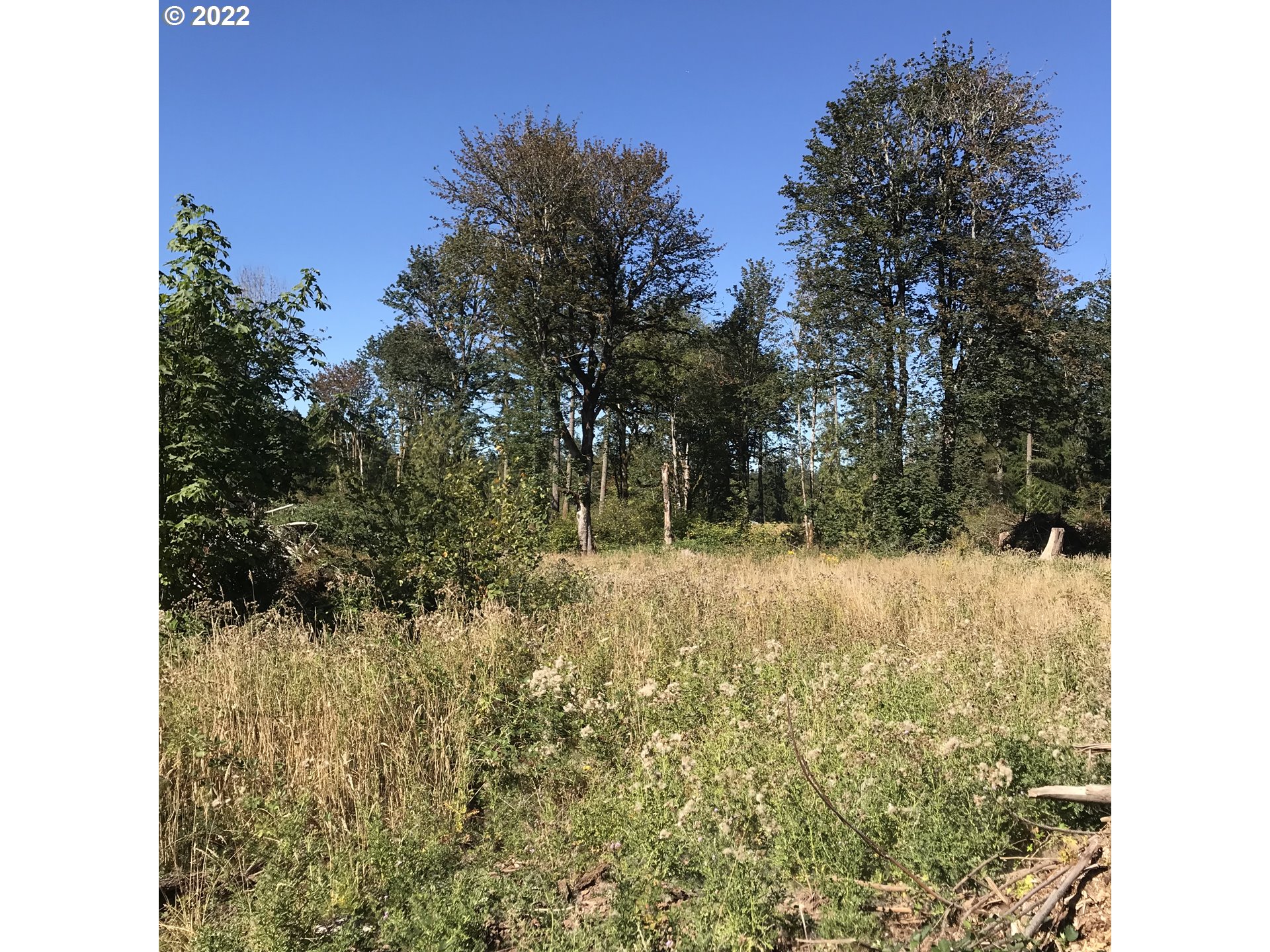 30671 South Oswalt Road Colton, OR 97017 - Photo 11 of 12 Gallery Image 11