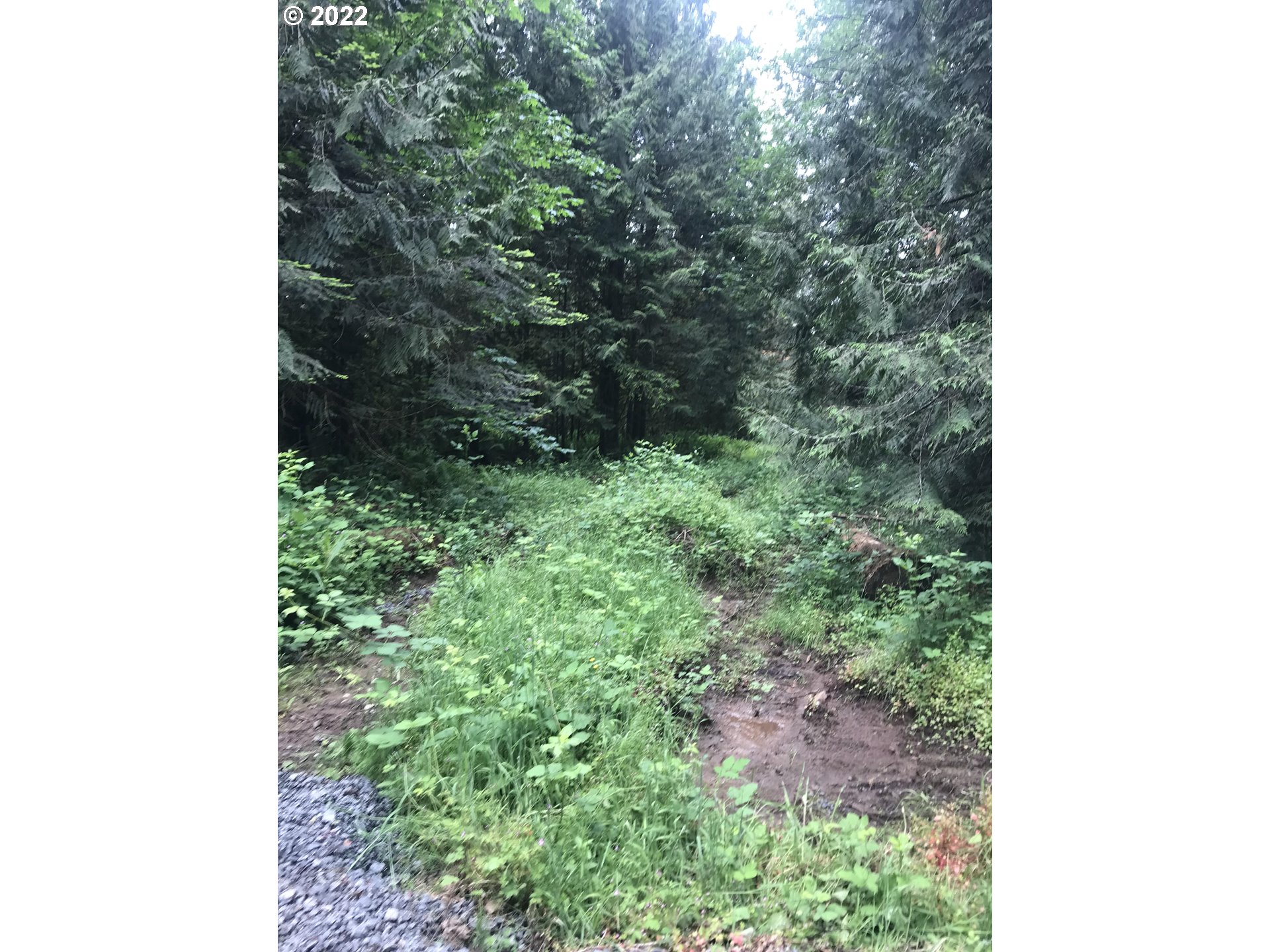 30671 South Oswalt Road Colton, OR 97017 - Photo 6 of 12 Gallery Image 6