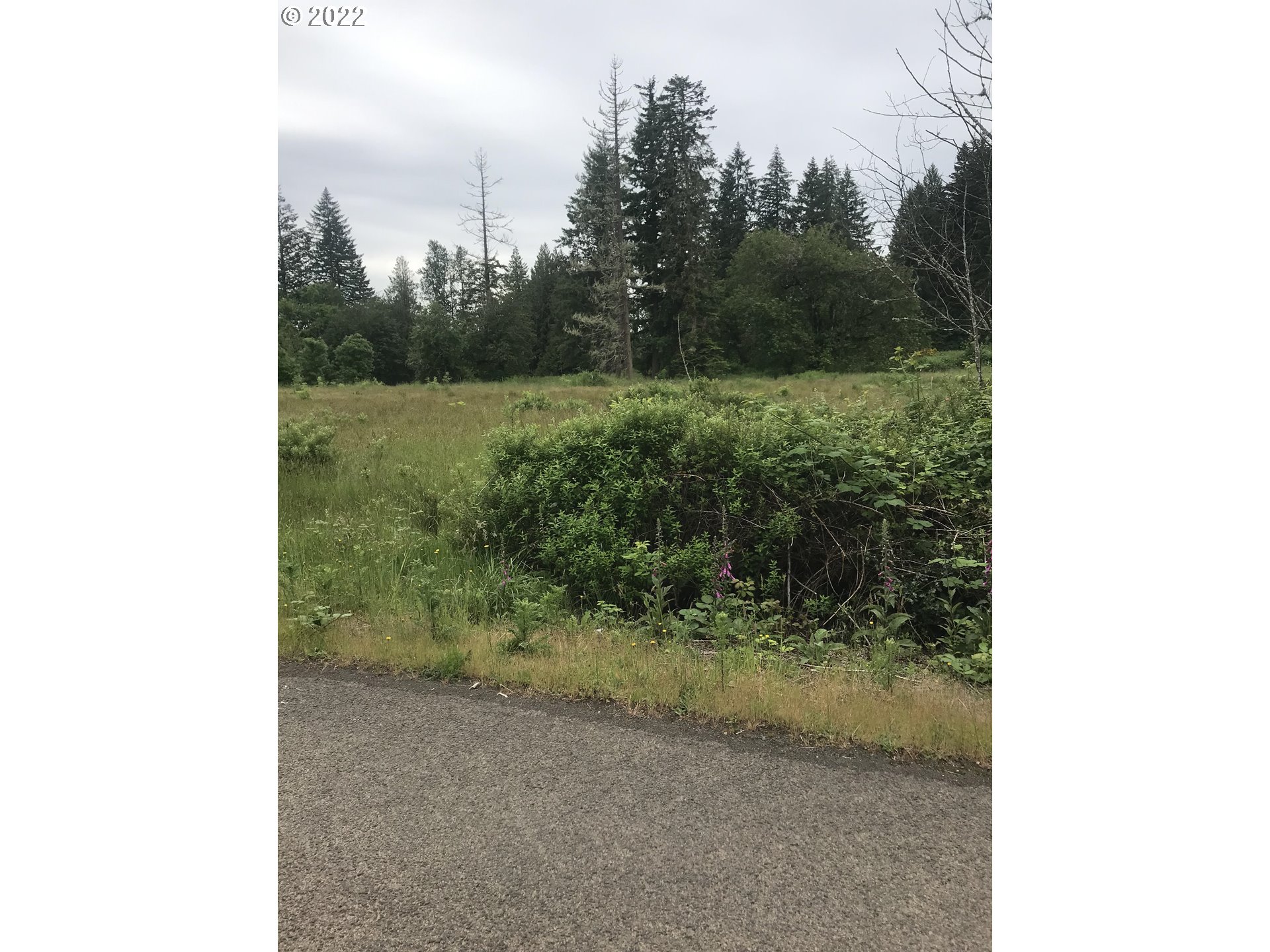 30671 South Oswalt Road Colton, OR 97017 - Photo 7 of 12 Gallery Image 7