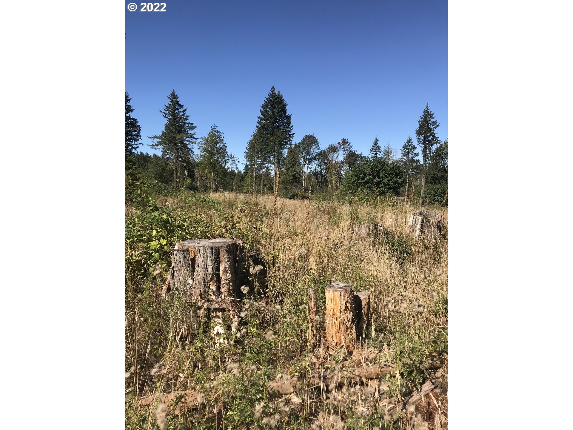 30671 South Oswalt Road Colton, OR 97017 - Photo 10 of 12 Gallery Image 10