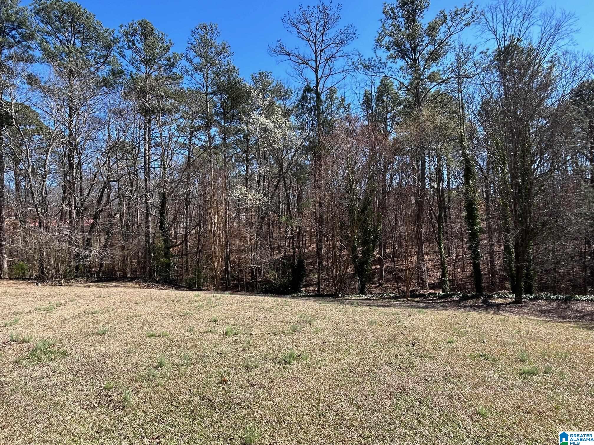 6207 Woodford Road Anniston, AL 36206 - Photo 23 of 28