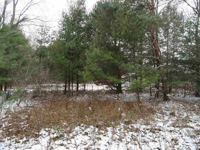 2 Rifle River Road Omer, MI 48749 - Photo 4 of 5