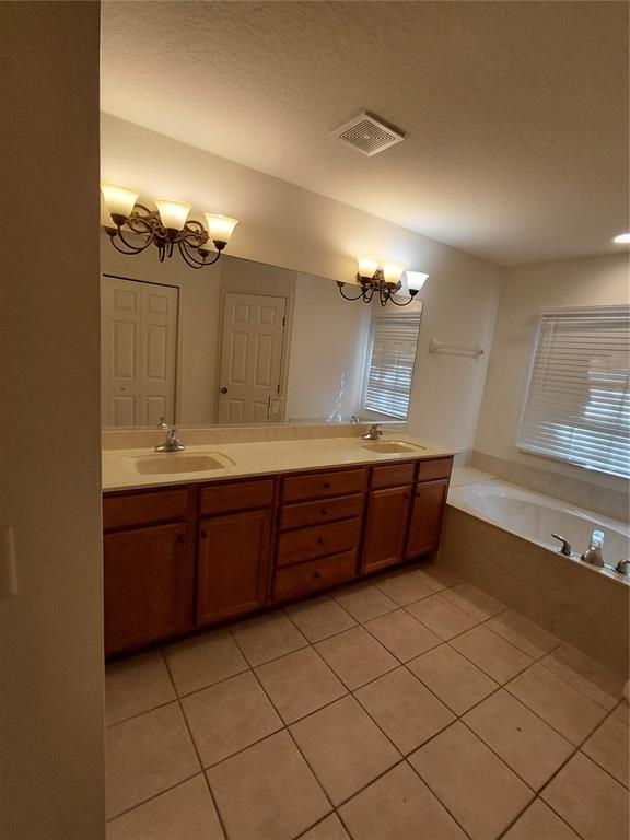14295 Southwest 17th Place Ocala, FL 34481 - Photo 10 of 34 a bathroom with a sink and a large mirror