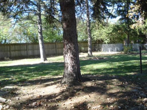 12 Manor Road Lake Zurich, IL 60047 - Photo 6 of 7