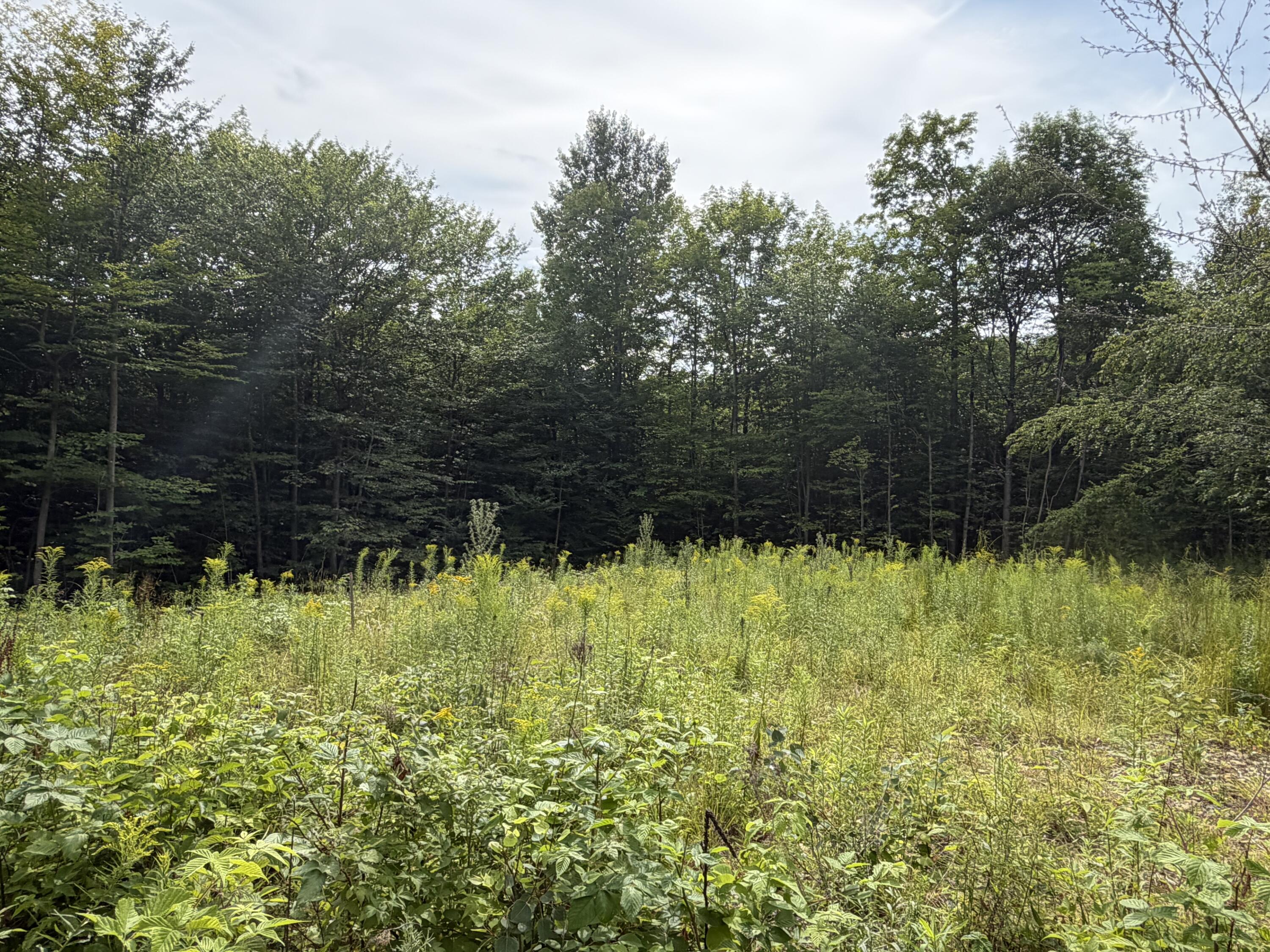Lot 60-116 Plaisted Road Jay, ME 04239 - Photo 3 of 9 Plaisted Rd 6