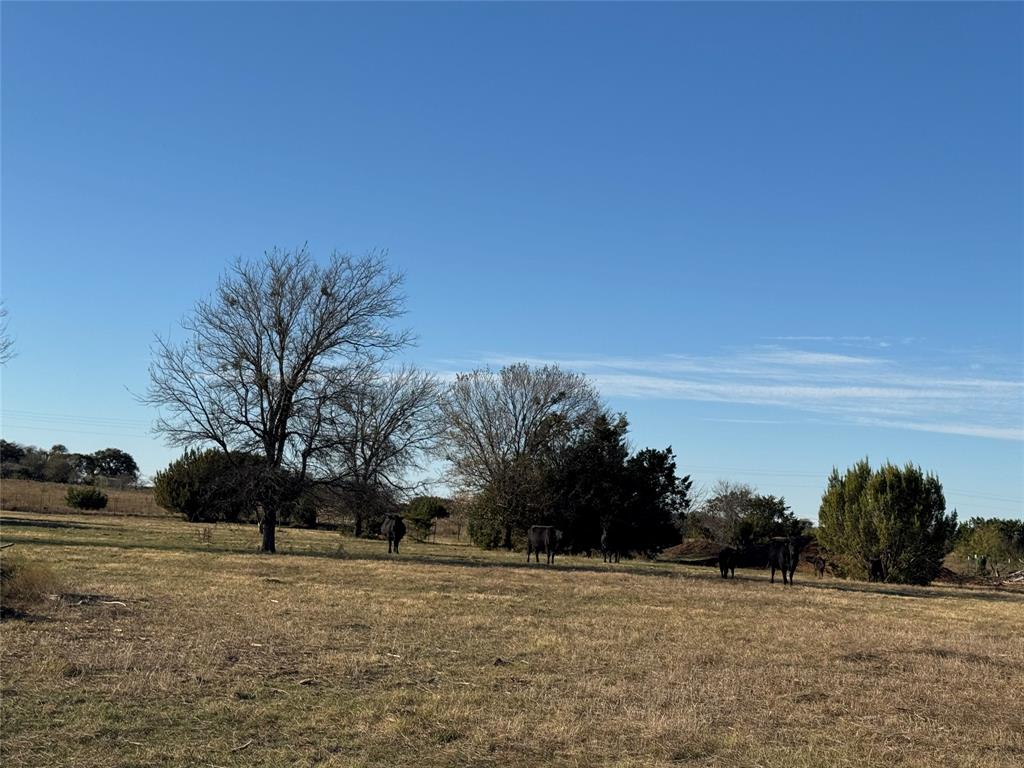 2676 Kelly Road Aledo, TX 76008 - Photo 6 of 19