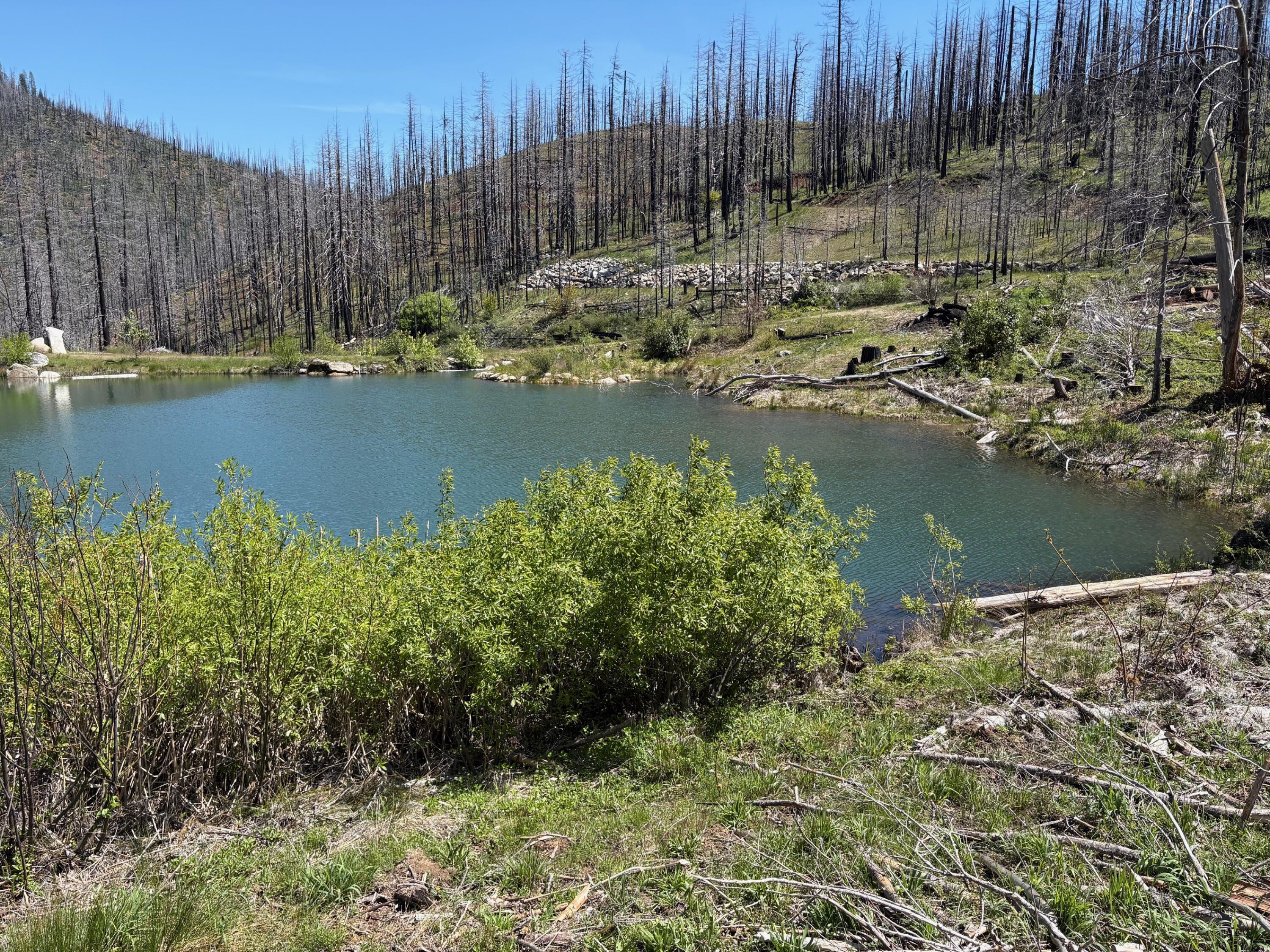 2103 Coffee Creek Road Trinity Center, CA 96091 - Photo 48 of 49