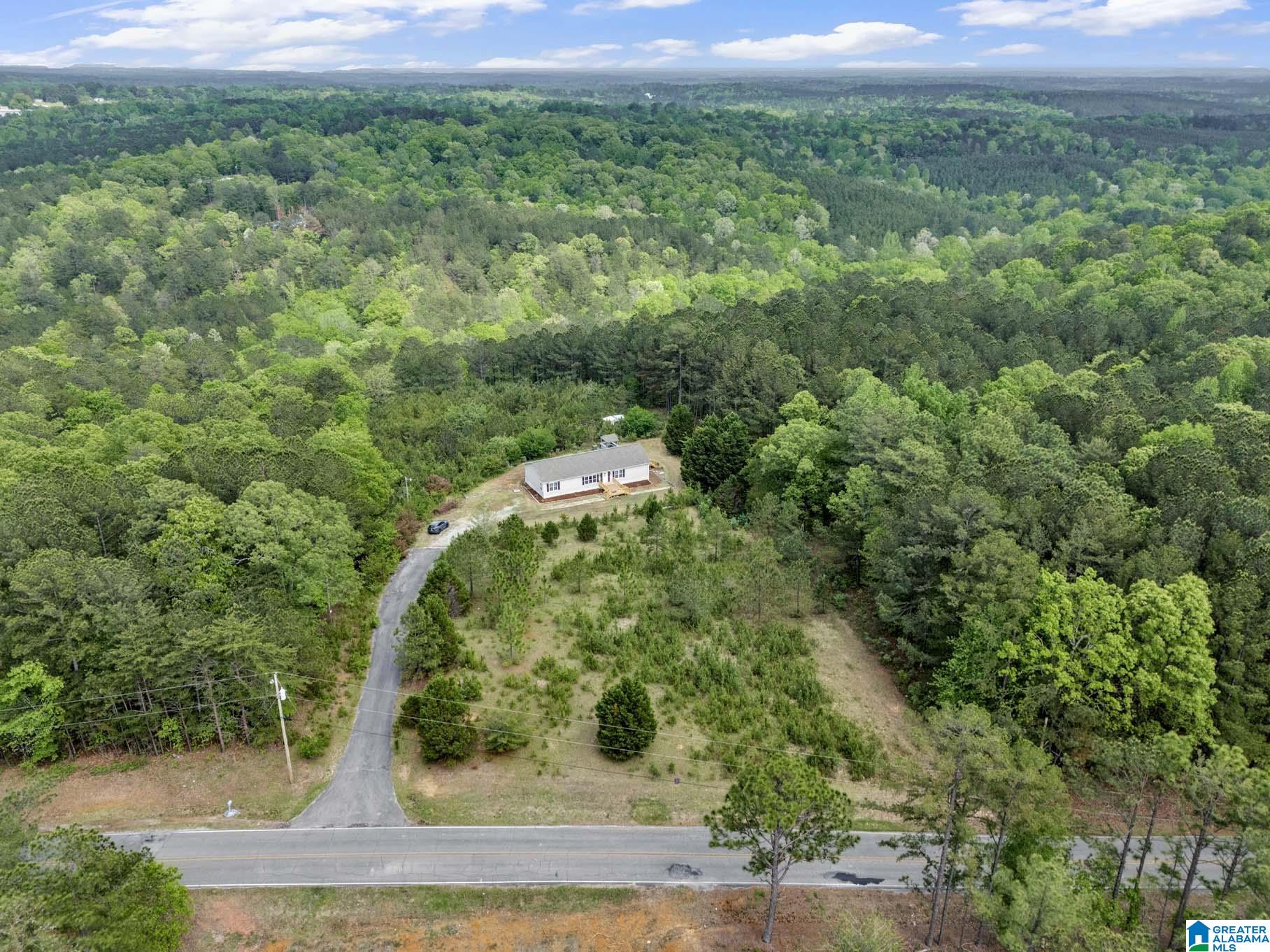 4634 Old Pineywoods Road Jasper, AL 35504 - Photo 28 of 33
